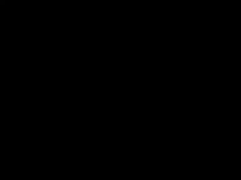 A solid black rectangle