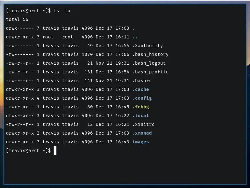 A terminal window. Light text on dark background. Comfortable spacing between
characters and lines.