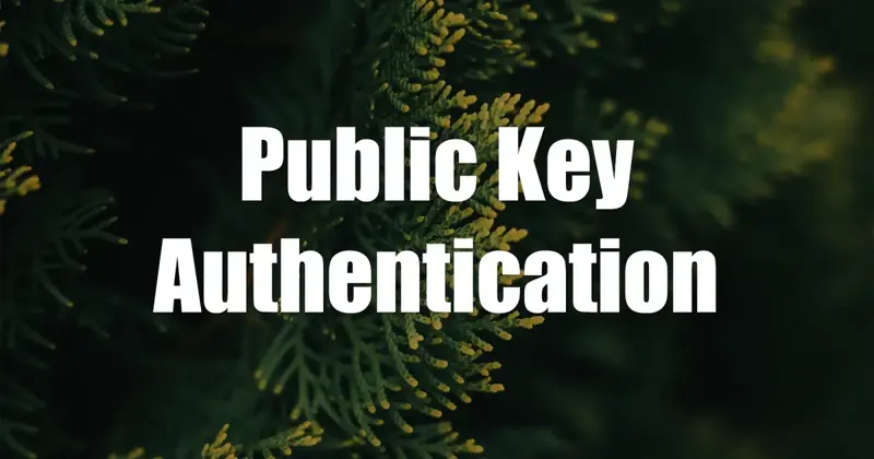 Unlocking the Power of Public Key Authentication in OpenSSH: A Comprehensive Guide