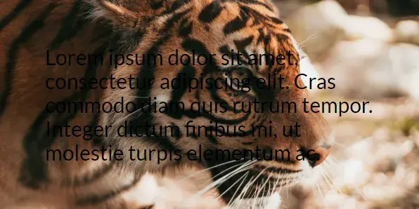 The text has been changed from white to black. It is still hard to read,
especially on the darker parts of the tiger background
image