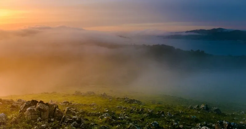 JavaScript Reference: Closures