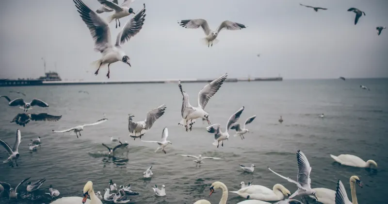 Increase Concurrent Connections in Windows Server 2000