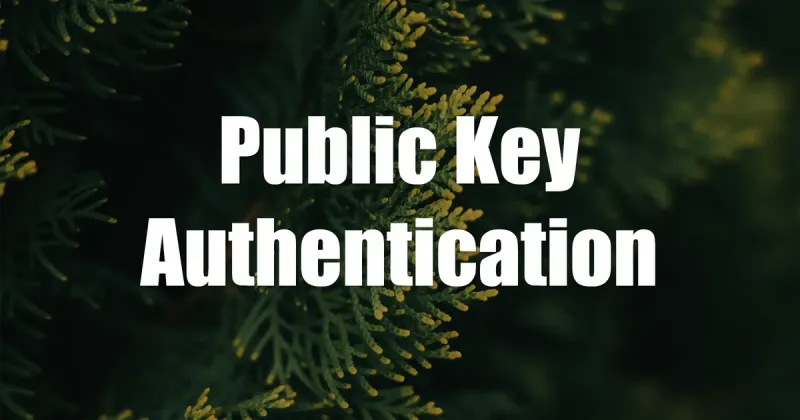 Unlocking the Power of Public Key Authentication in OpenSSH: A Comprehensive Guide