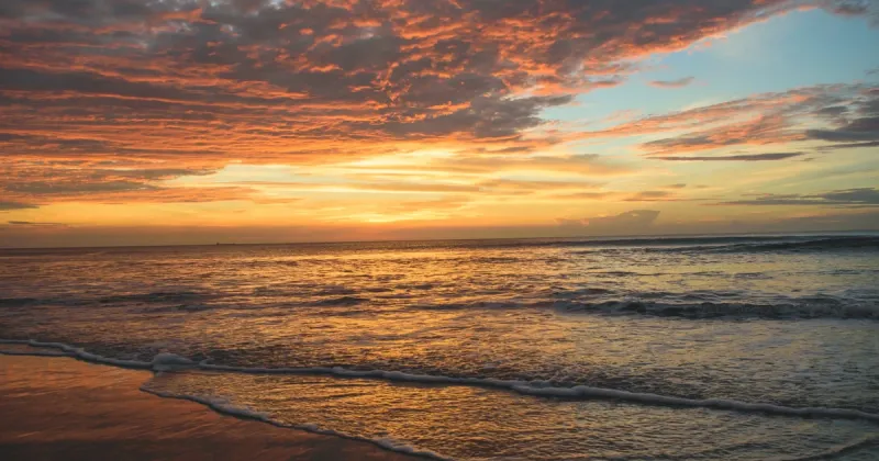 JavaScript Reference: Objects