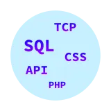 A wordcloud with the words: TCP, SQL, CSS, API, and
PHP.