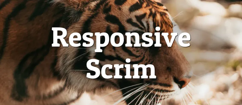 Responsive Scrim