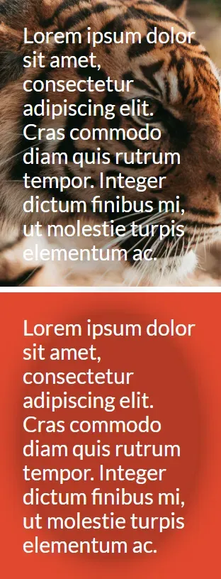 A composite image. The top shows the tiger image again, but resized to be
narrow and tall. The bottom is a solid red-orange background. In both, the text
is still legible